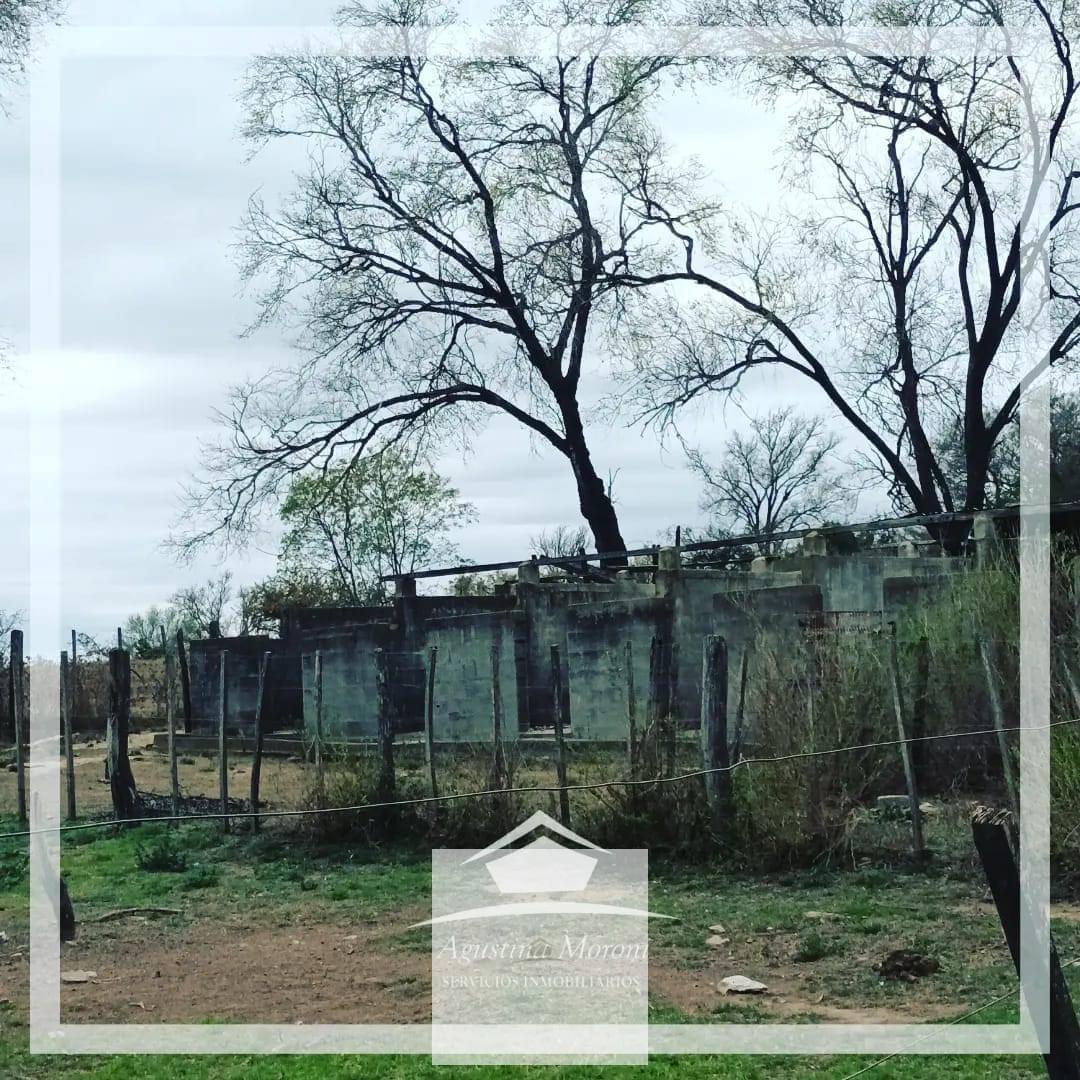 Foto de Importante campo sobre autovia 36, imagen 4
