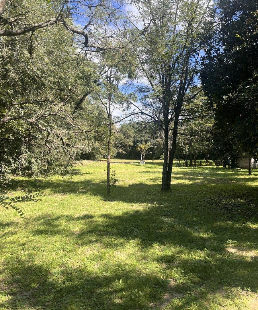 Foto de VENTA CASA QUINTA EN LOS MOLINOS, imagen 2