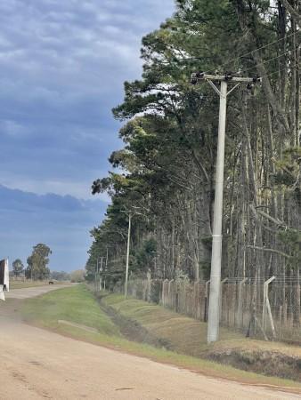 Venta Terreno - Pinares de Santa Clara 5