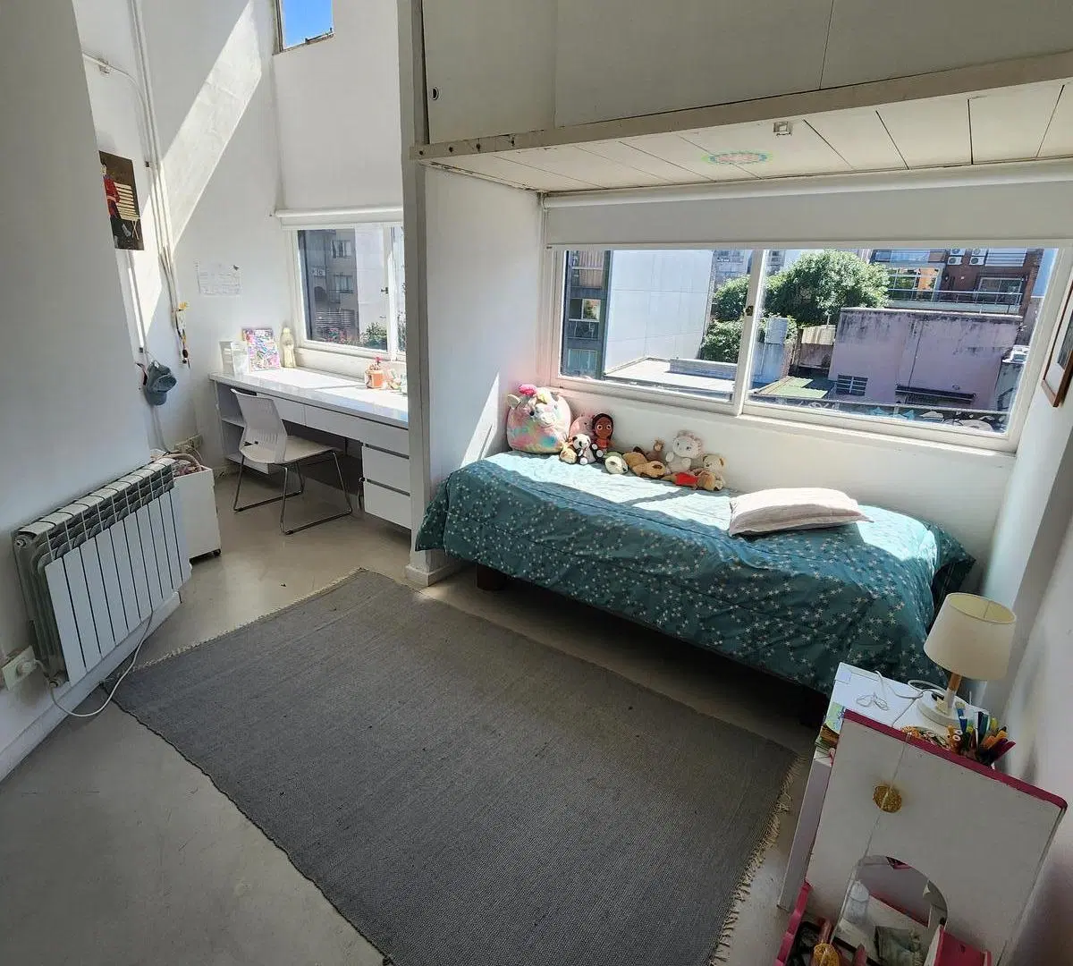 BELGRANO. PH DE CATEGORIA. 7 AMBIENTES. TERRAZA. CHIMENEA Y PILETA 5