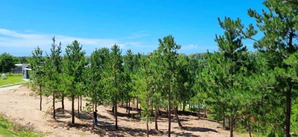 Venta - Lote en Costa Esmeralda - Barrio Ecuestre Lote 40 - Vehículo Parte de Pago 4