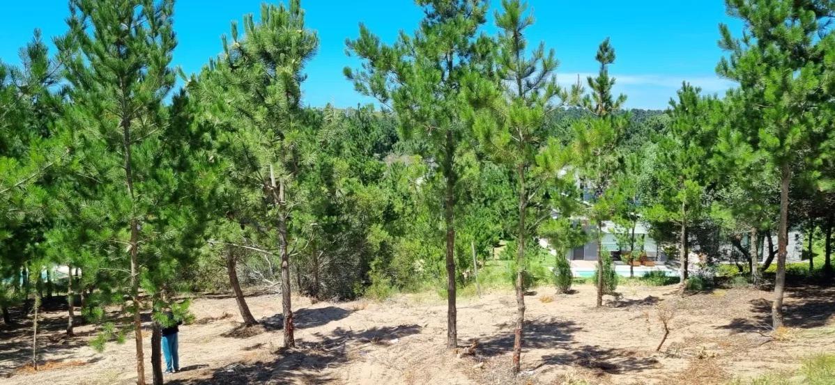 Venta - Lote en Costa Esmeralda - Barrio Ecuestre Lote 40 - Vehículo Parte de Pago 5