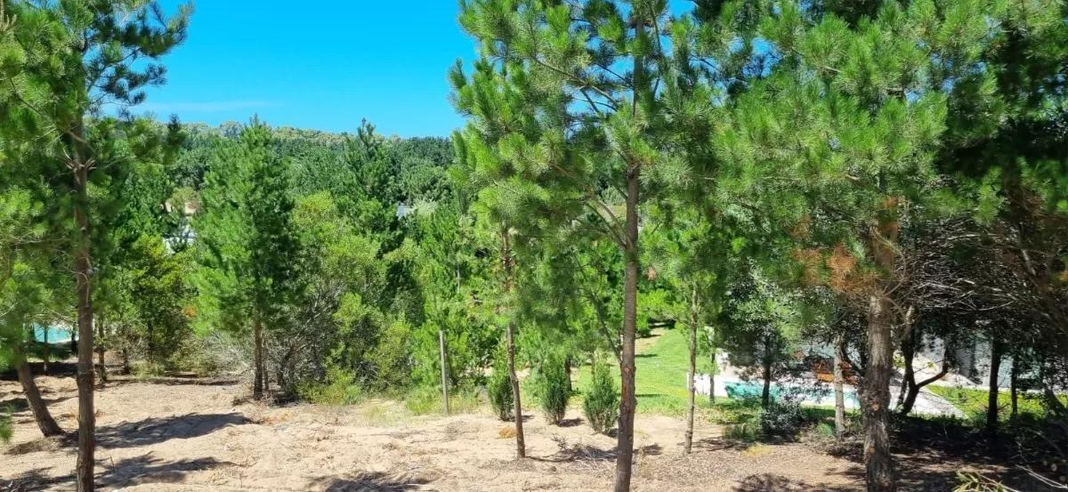 Venta - Lote en Costa Esmeralda - Barrio Ecuestre Lote 40 - Vehículo Parte de Pago 2