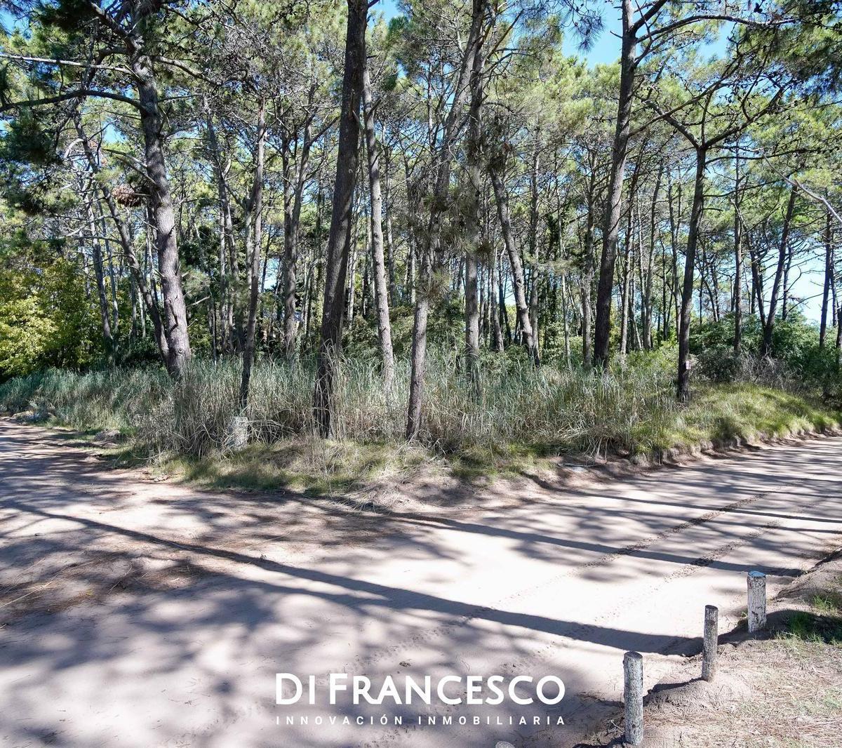 Venta - Lote Unifamiliar de 998 m² en Cariló - Divisadero y Lapacho 3