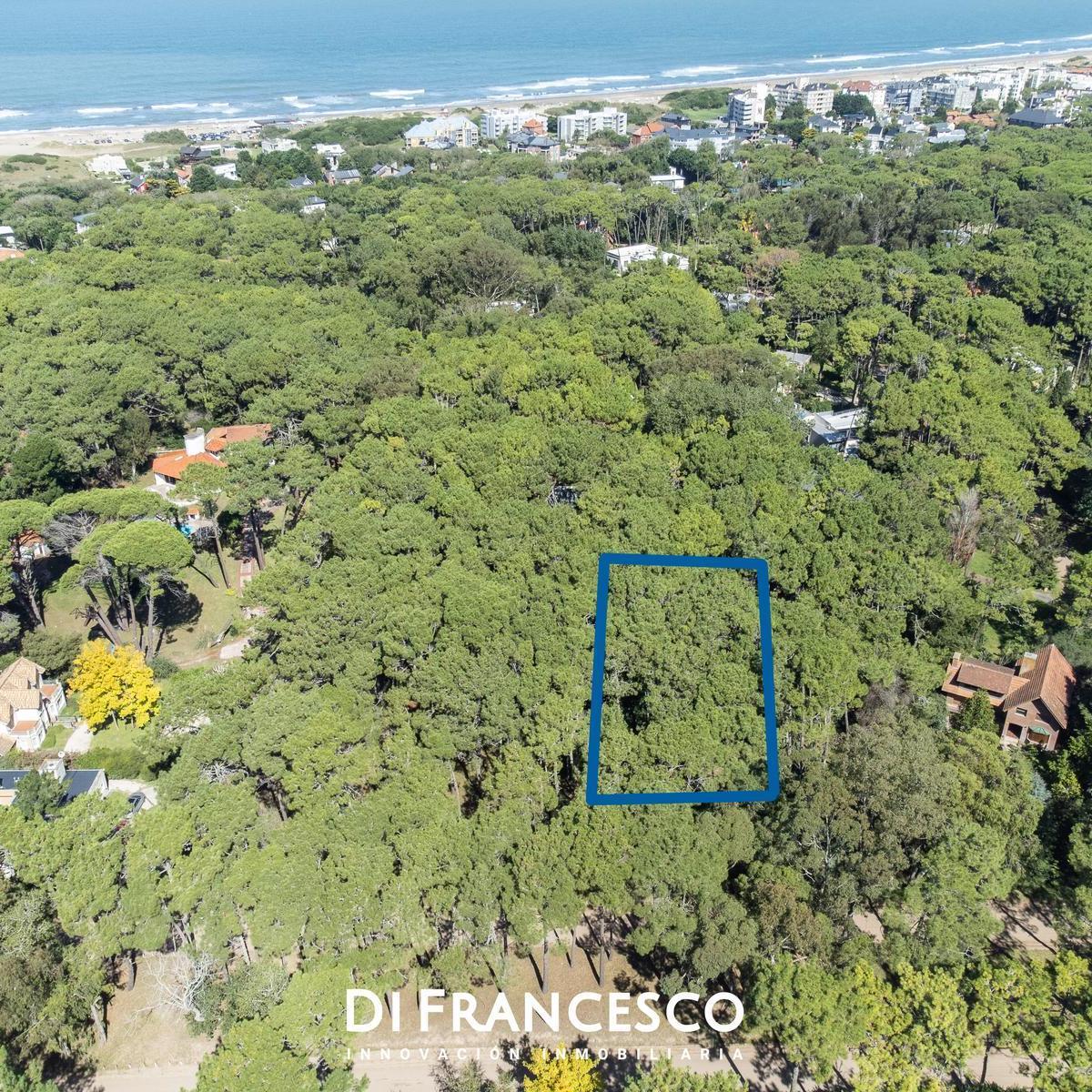Venta Lote de 974 m² en Carilo Divisadero y Lapacho 5