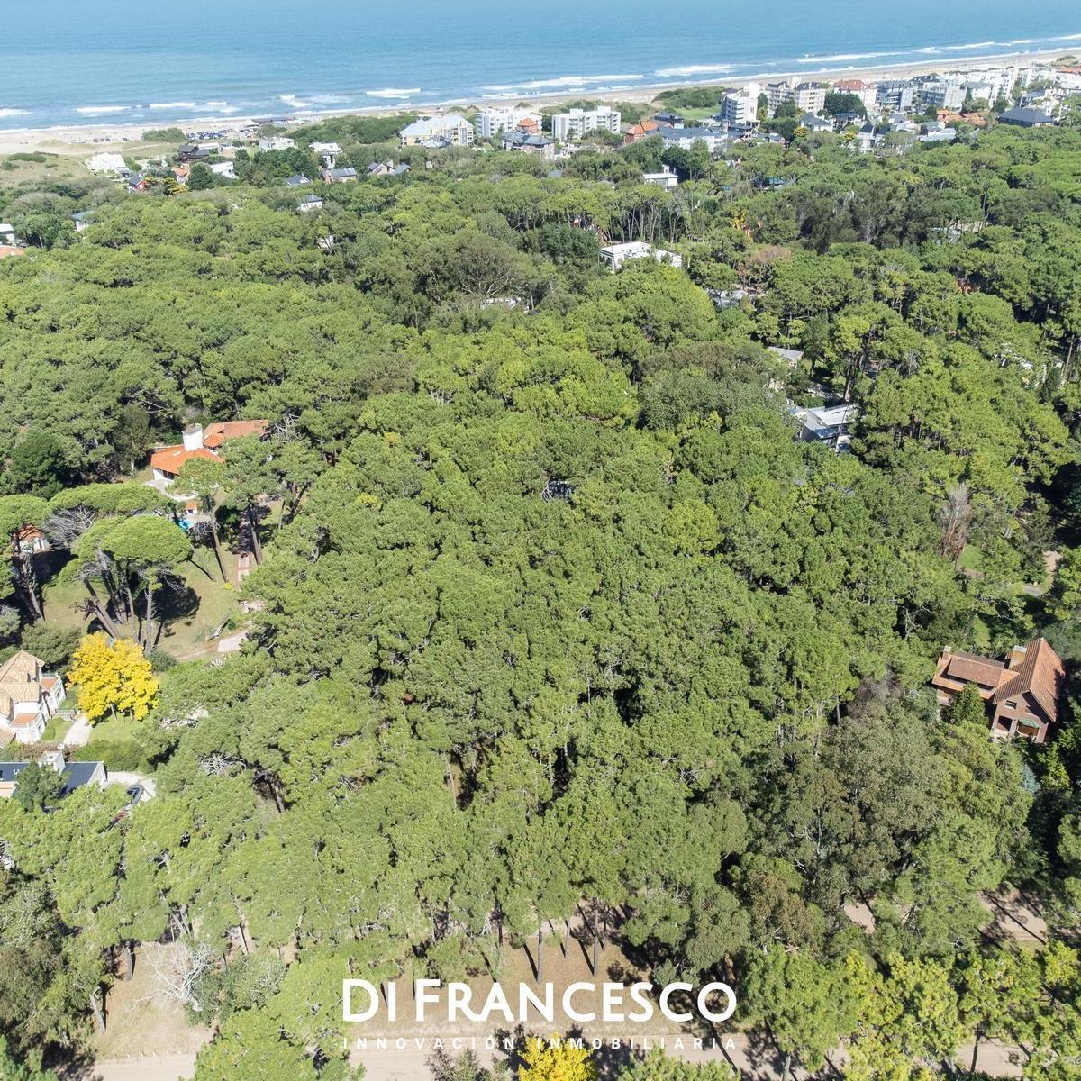 Venta Lote de 974 m² en Carilo Divisadero y Lapacho 4