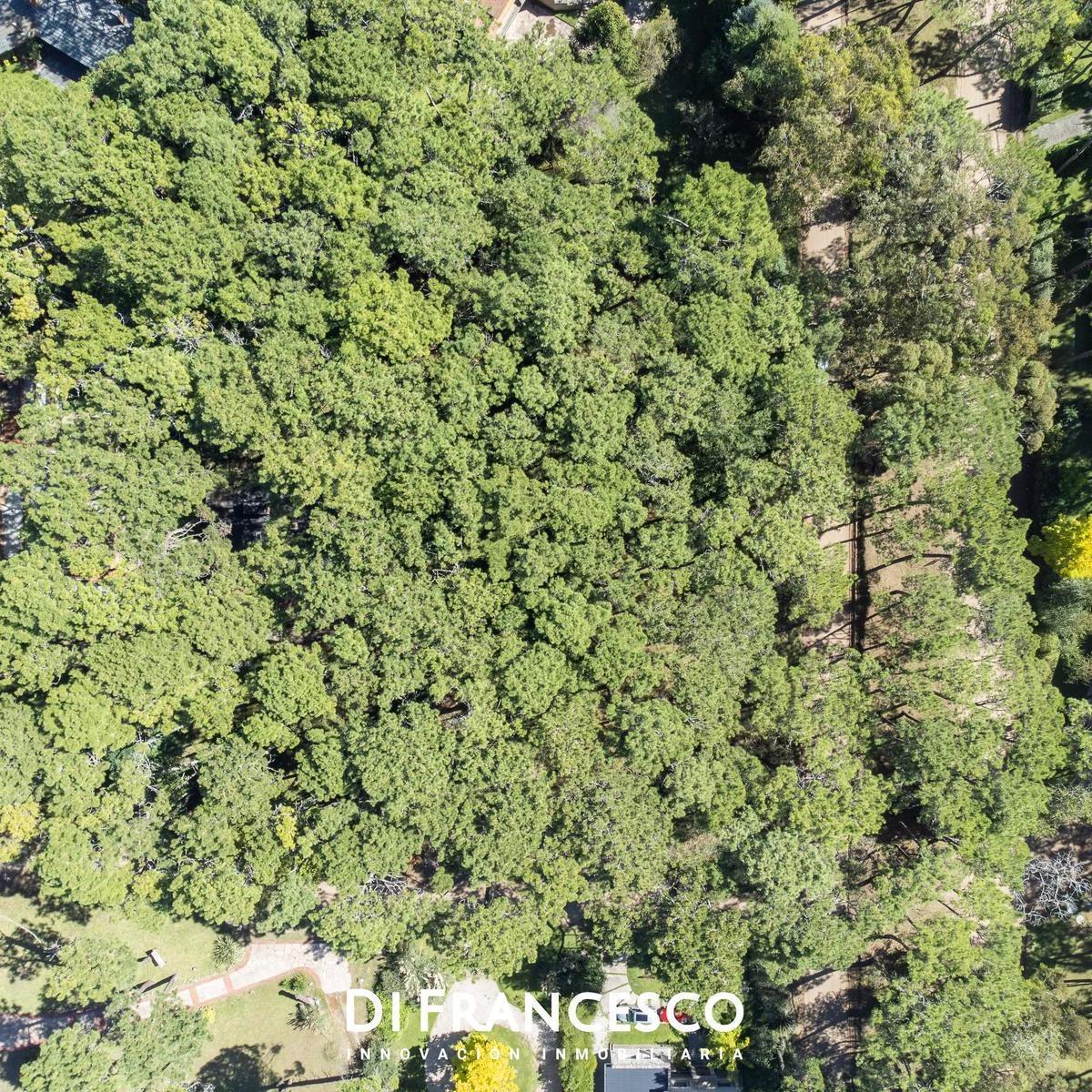 Venta Lote de 974 m² en Carilo Divisadero y Lapacho 1