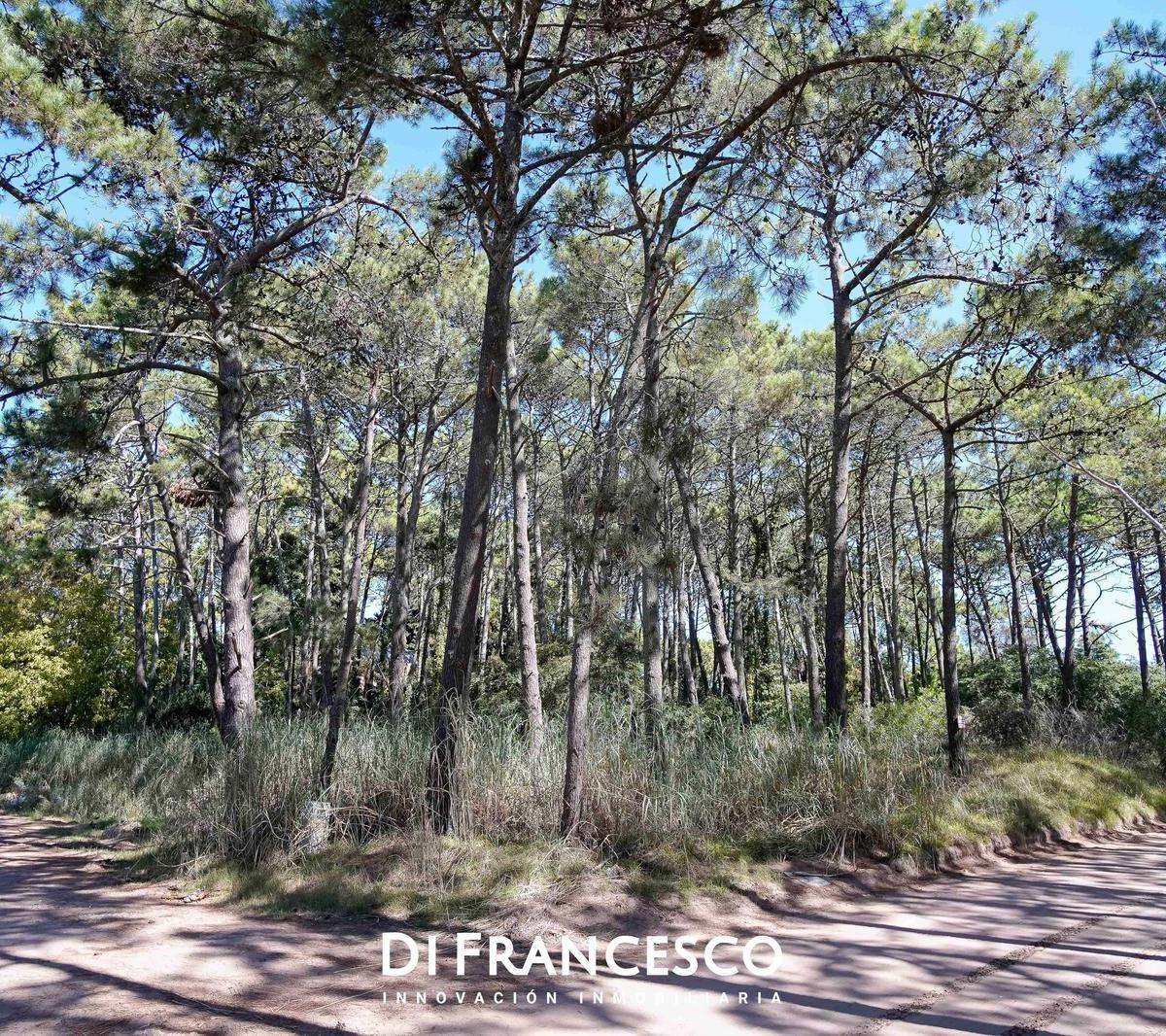 3 Lotes en Venta en Cariló - Divisadero y Lapacho 1