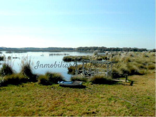 Foto de Venta - Chacra de 21.000 mts con casa de 3 dormitorios EN PINAMAR, imagen 4