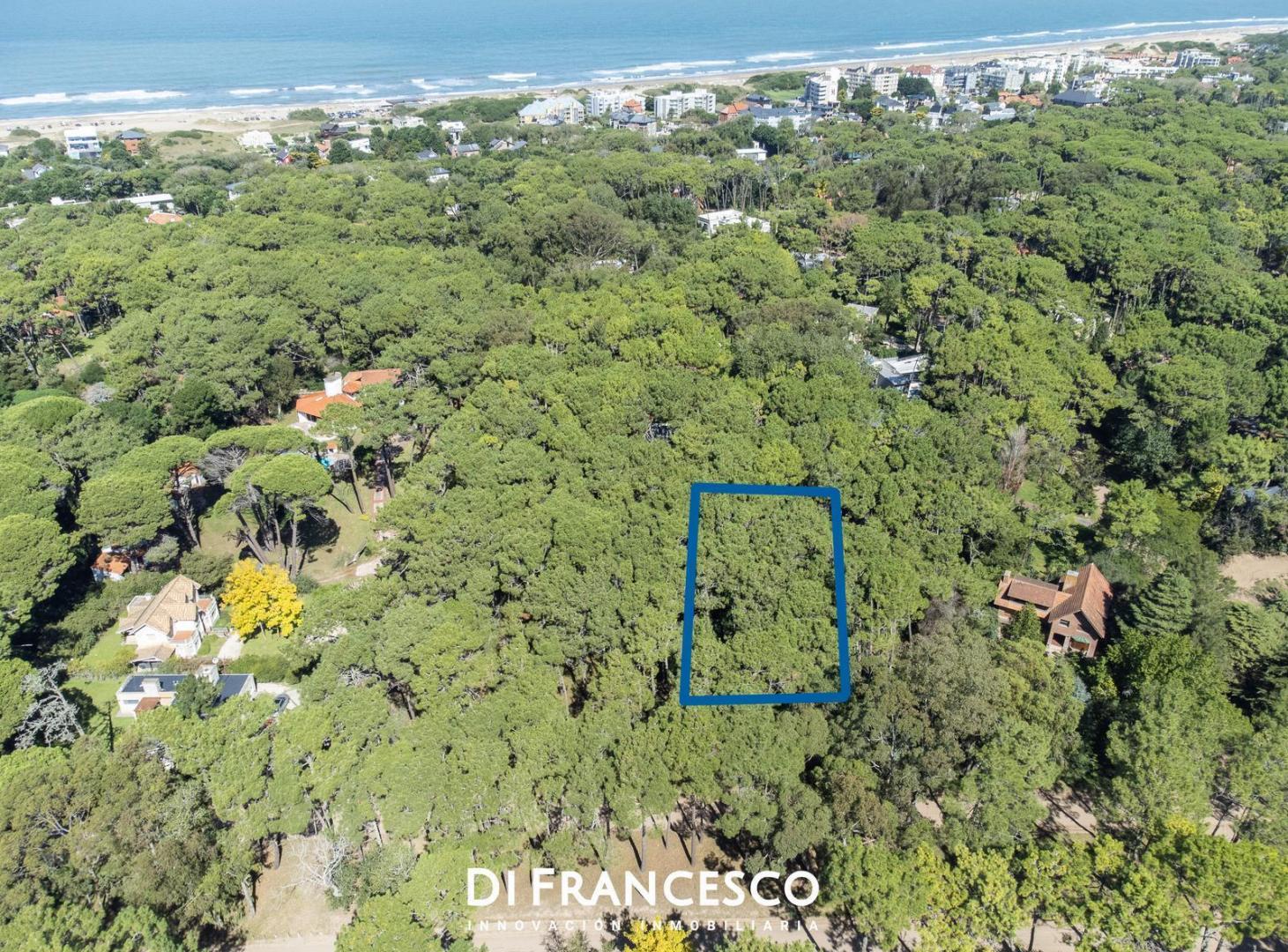 Foto de Venta Lote de 974 M2 en Carilo Divisadero y Lapacho, imagen 2