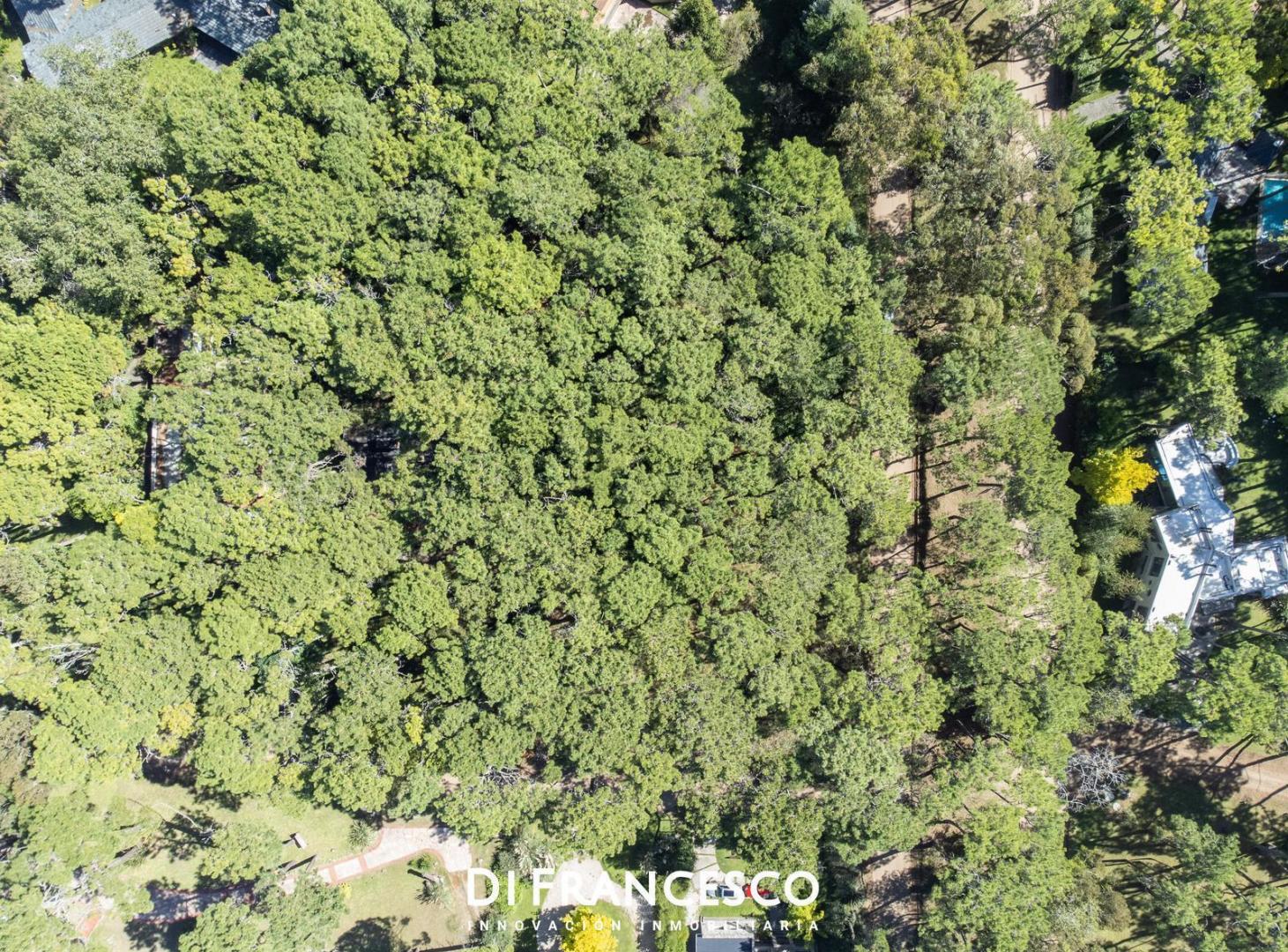 Foto de Venta - Lote de 988 m2 en Cariló - Divisadero, imagen 3