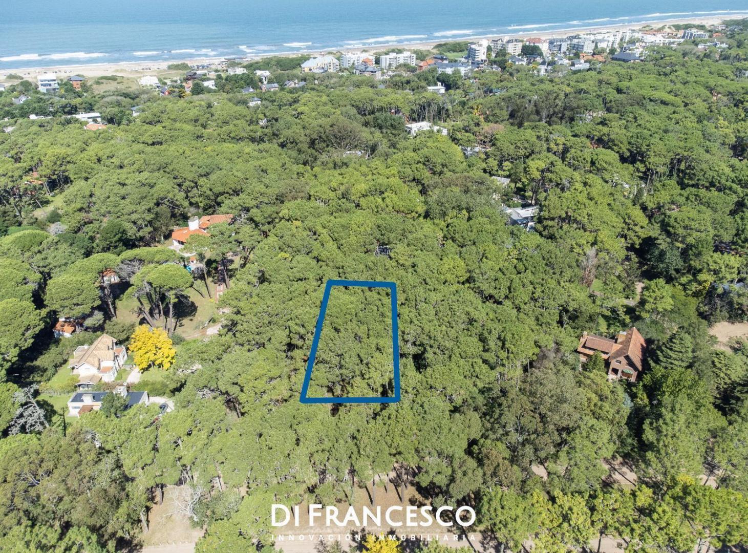 Foto de Venta - Lote de 988 m2 en Cariló - Divisadero, imagen 4