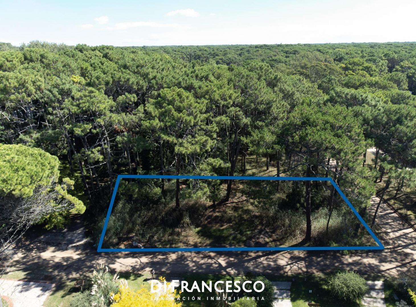 Foto de Venta - Lote UNIFAMILIAR de 998 m2 en Cariló - Divisadero y Lapacho, imagen 5