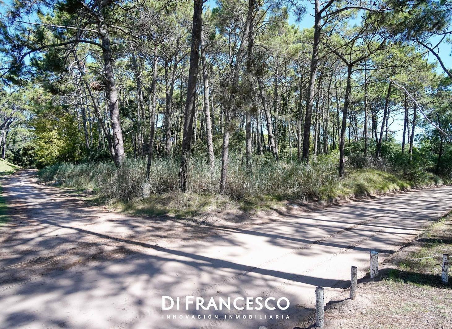 Foto de Venta - Lote UNIFAMILIAR de 998 m2 en Cariló - Divisadero y Lapacho, imagen 3