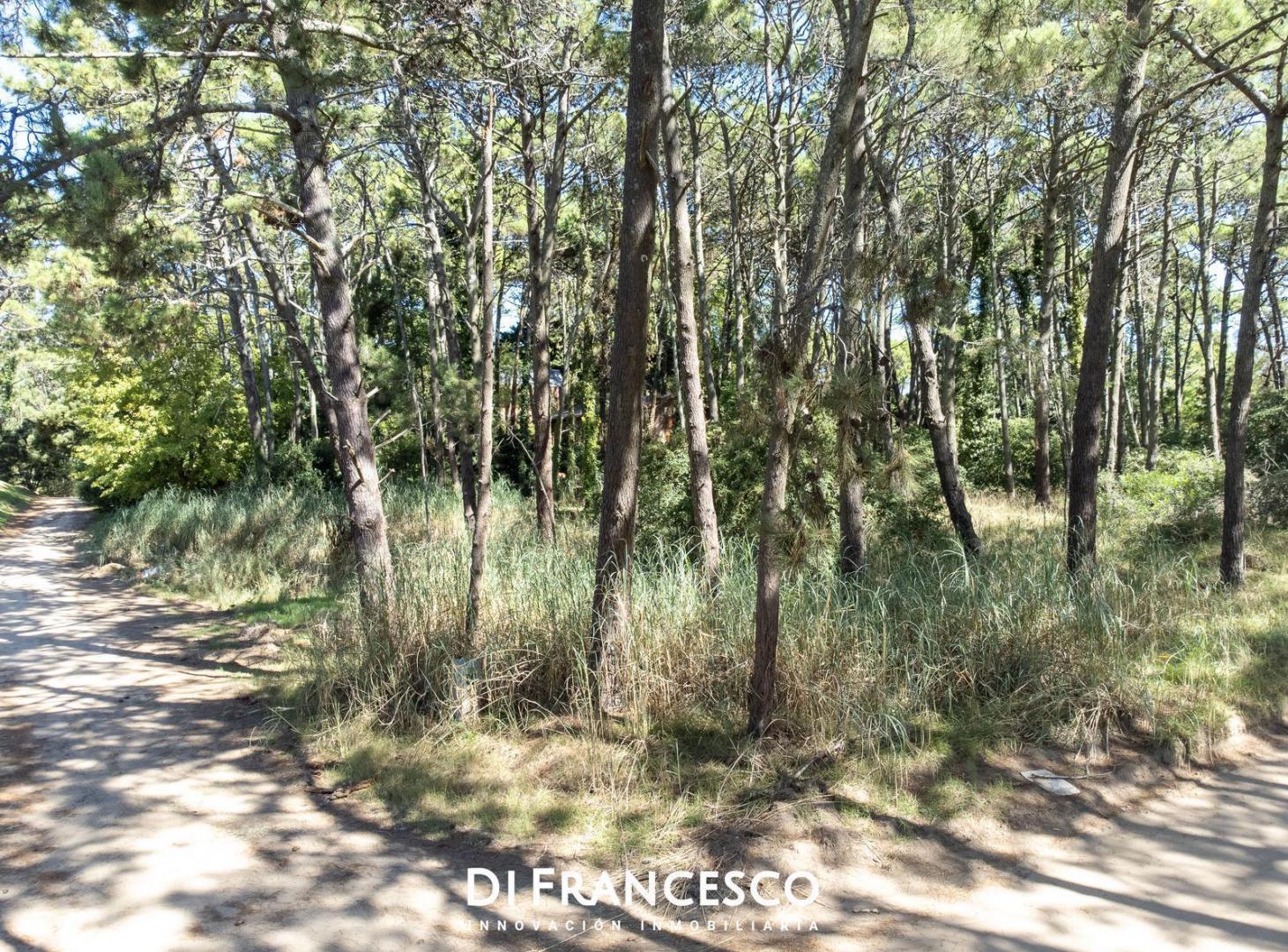 Foto de Venta - Lote UNIFAMILIAR de 998 m2 en Cariló - Divisadero y Lapacho, imagen 4