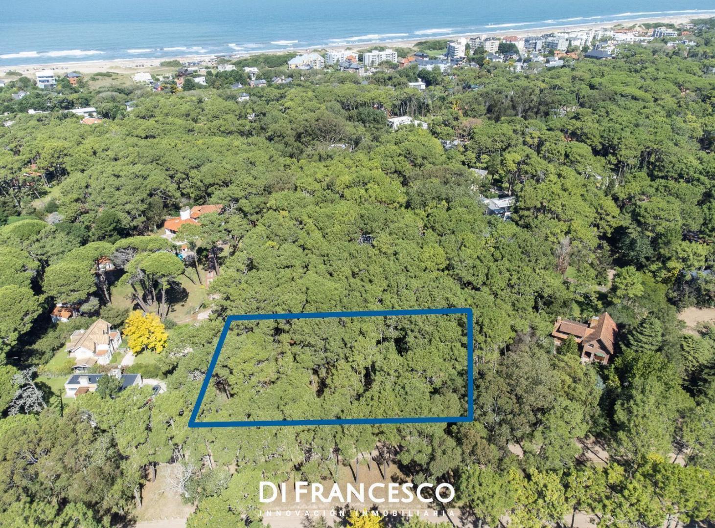 Foto de 3 Lotes en Venta en Cariló - Divisadero y Lapacho, imagen 2