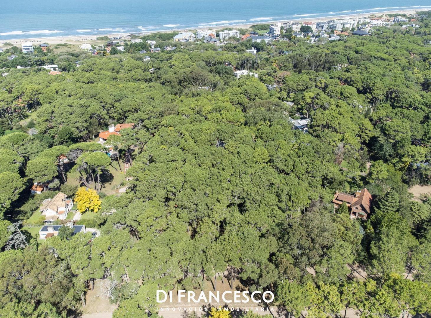 Foto de 3 Lotes en Venta en Cariló - Divisadero y Lapacho, imagen 3
