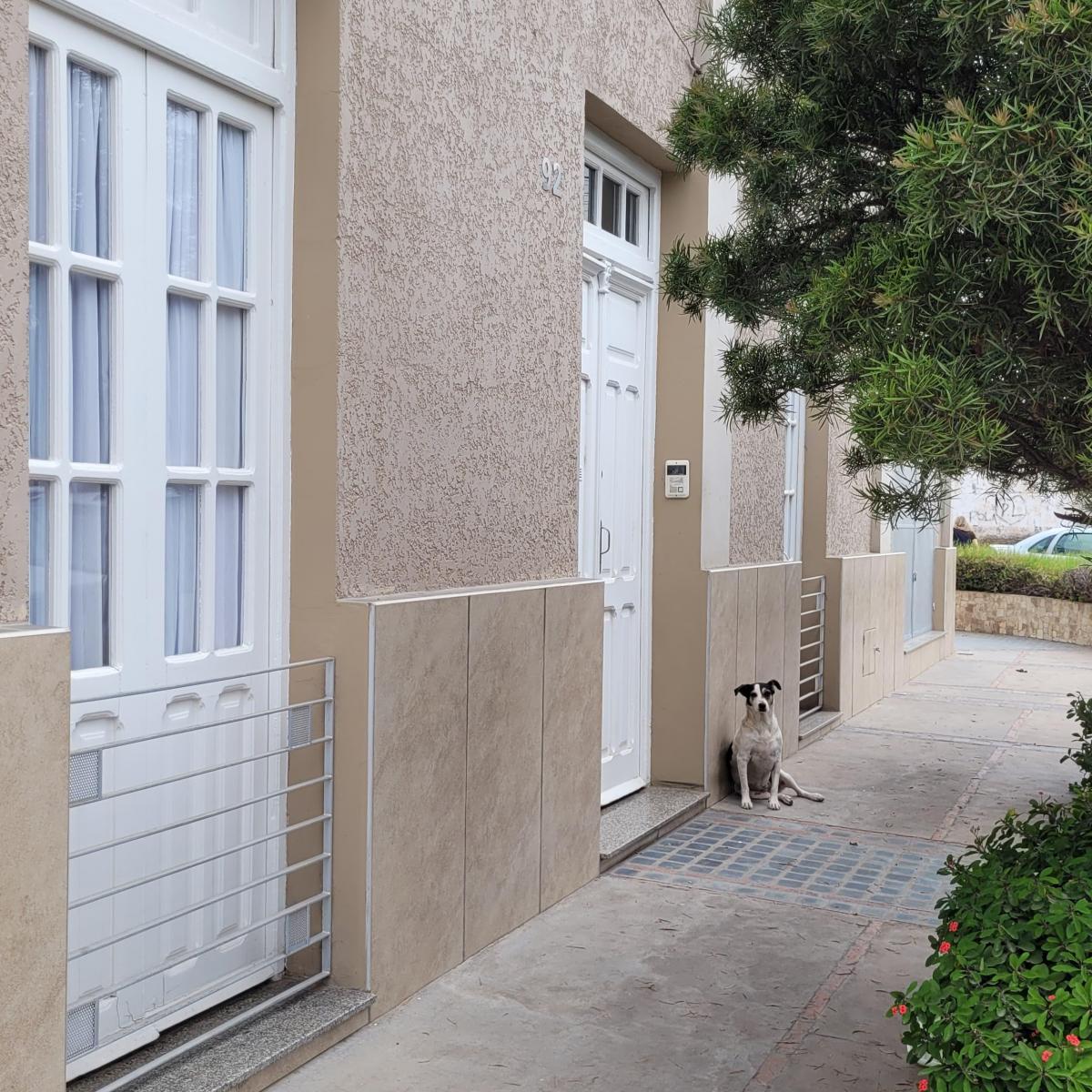 Casa con Local Comercial, Piscina, Quincho – Zona Centrica 3