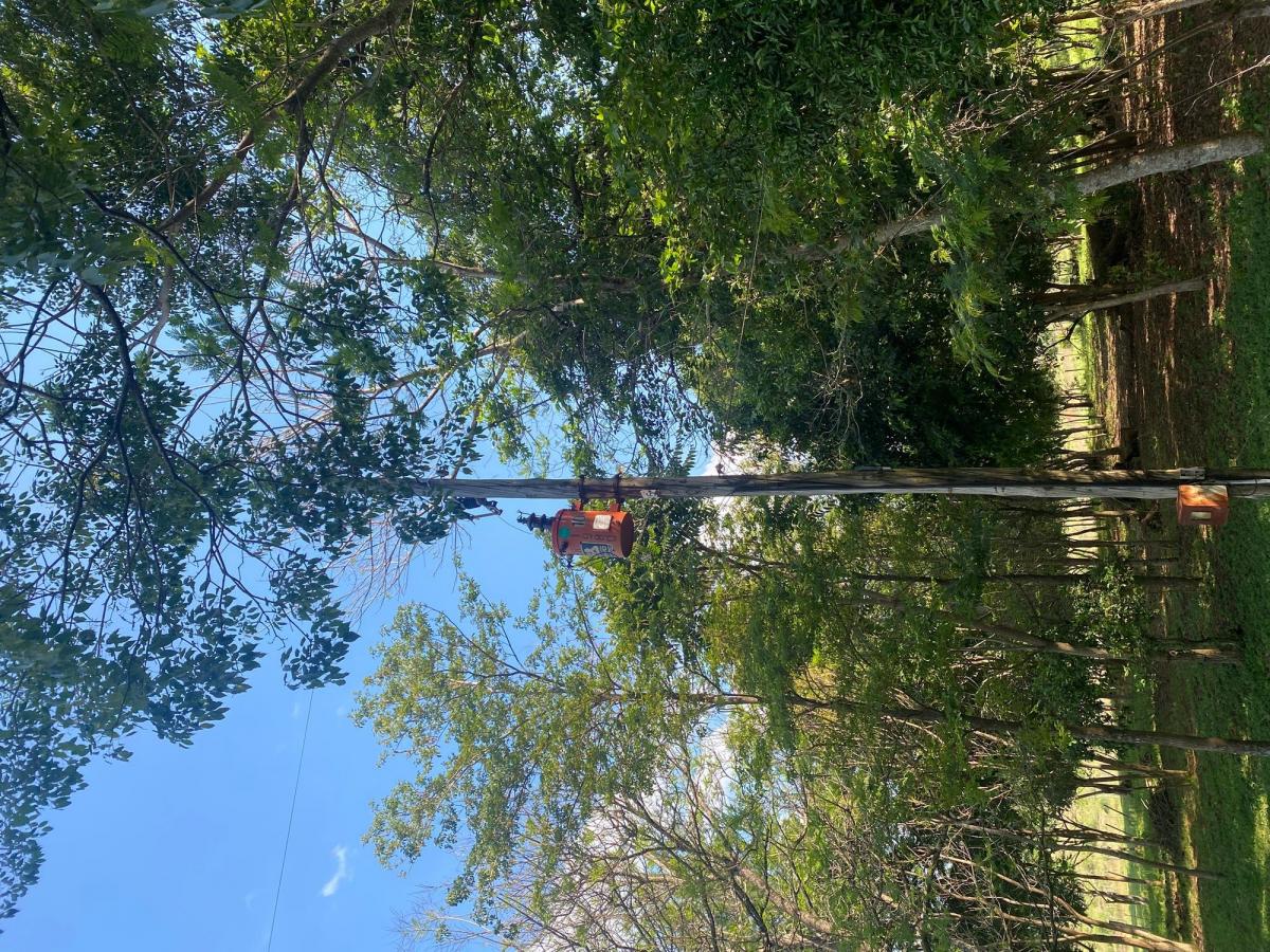 VENDO 10 hectáreas en Posadas Misiones