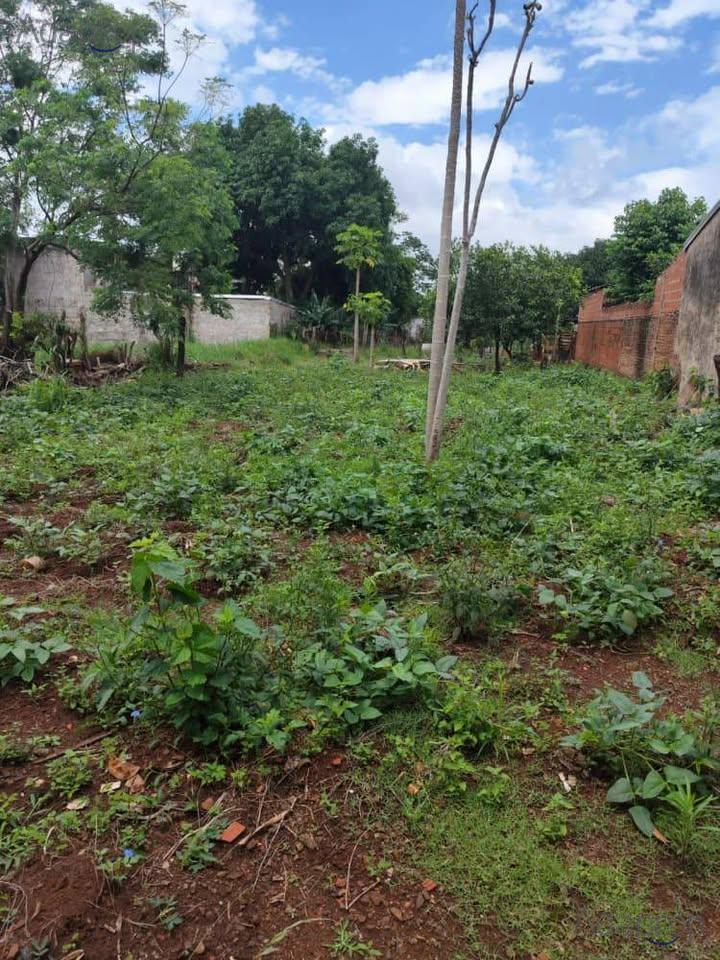 Foto de Terreno en Posadas, imagen 2