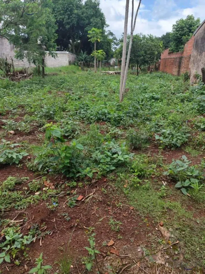 Terreno en Posadas 4
