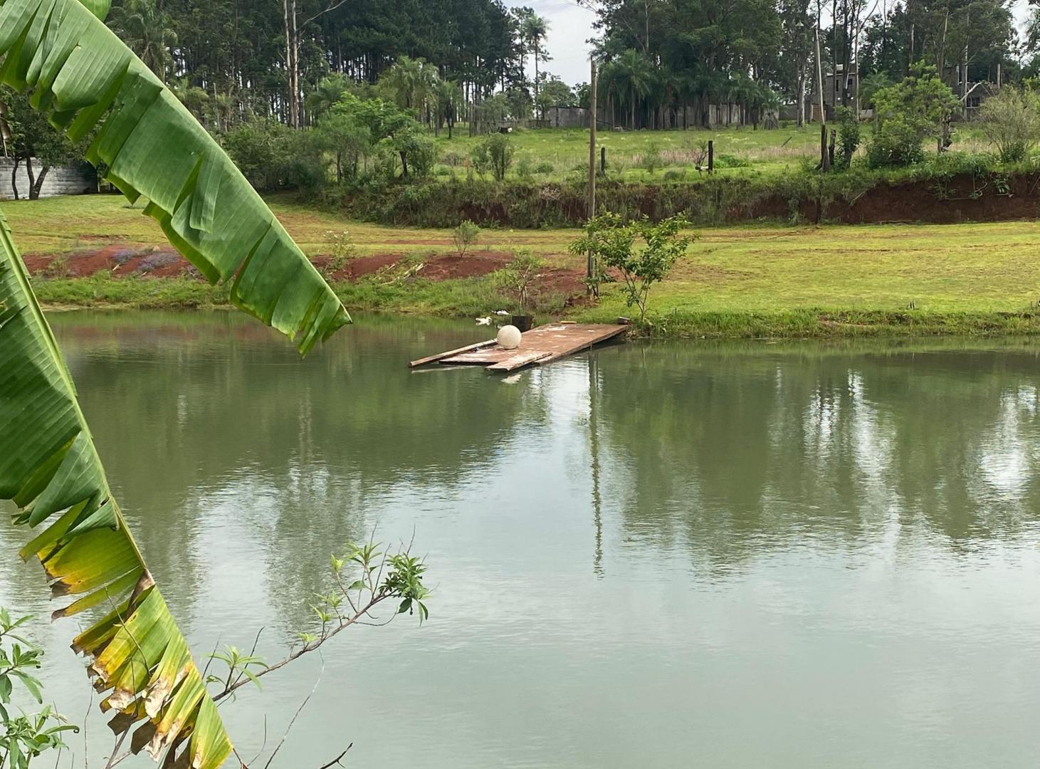 Foto de VENDO IMPRESIONANTE GRANJA PESQUE Y PAGUE EN POSADAS MNES, imagen 4