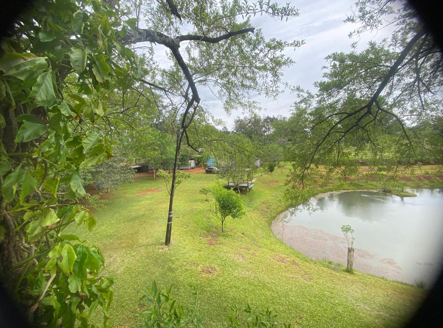 Foto de VENDO IMPRESIONANTE GRANJA PESQUE Y PAGUE EN POSADAS MNES, imagen 2