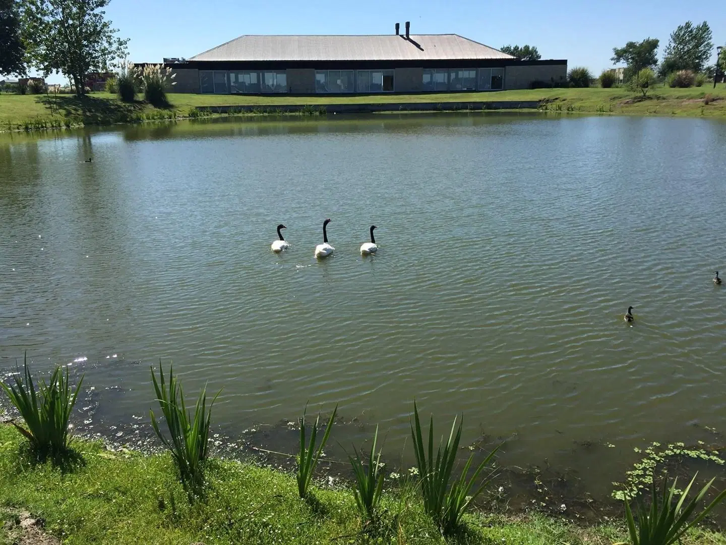 Lote a la laguna en Venta en Barrio Norte El Cantón 4