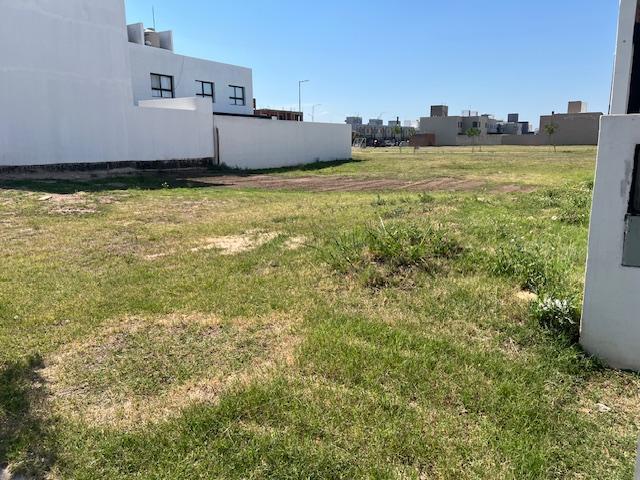 LOTE CENTRAL en San Ignacio Village- Cerca de la entrada