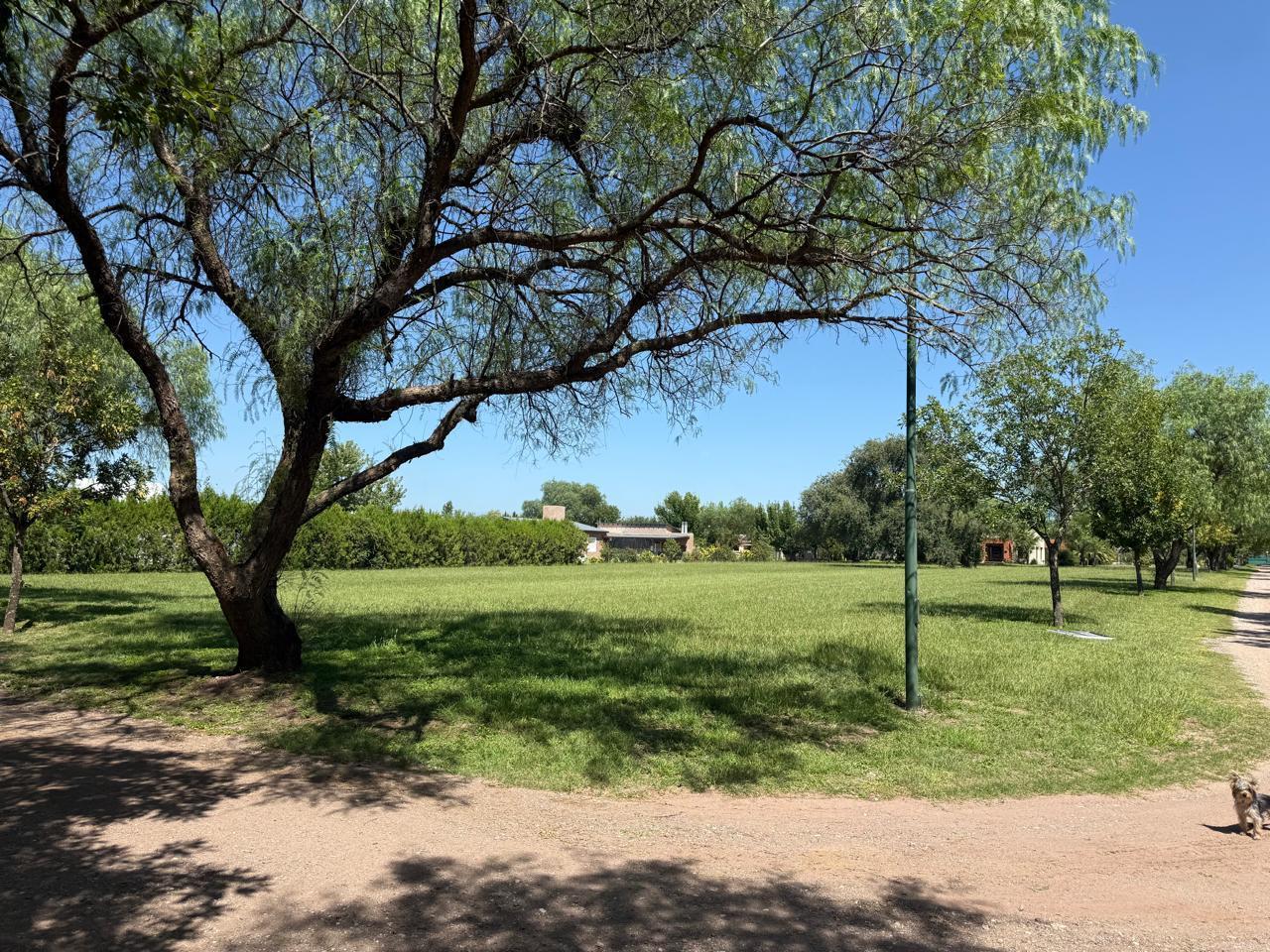 Espectacular oportunidad gran terreno en venta en Causana 4000 m2 financiación