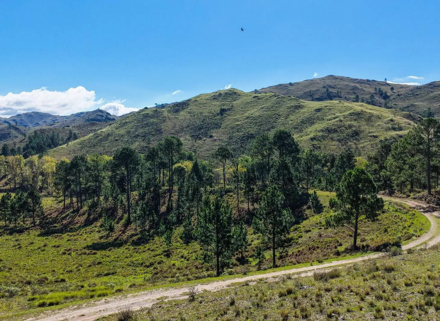 Campo en Potrero De Garay 3