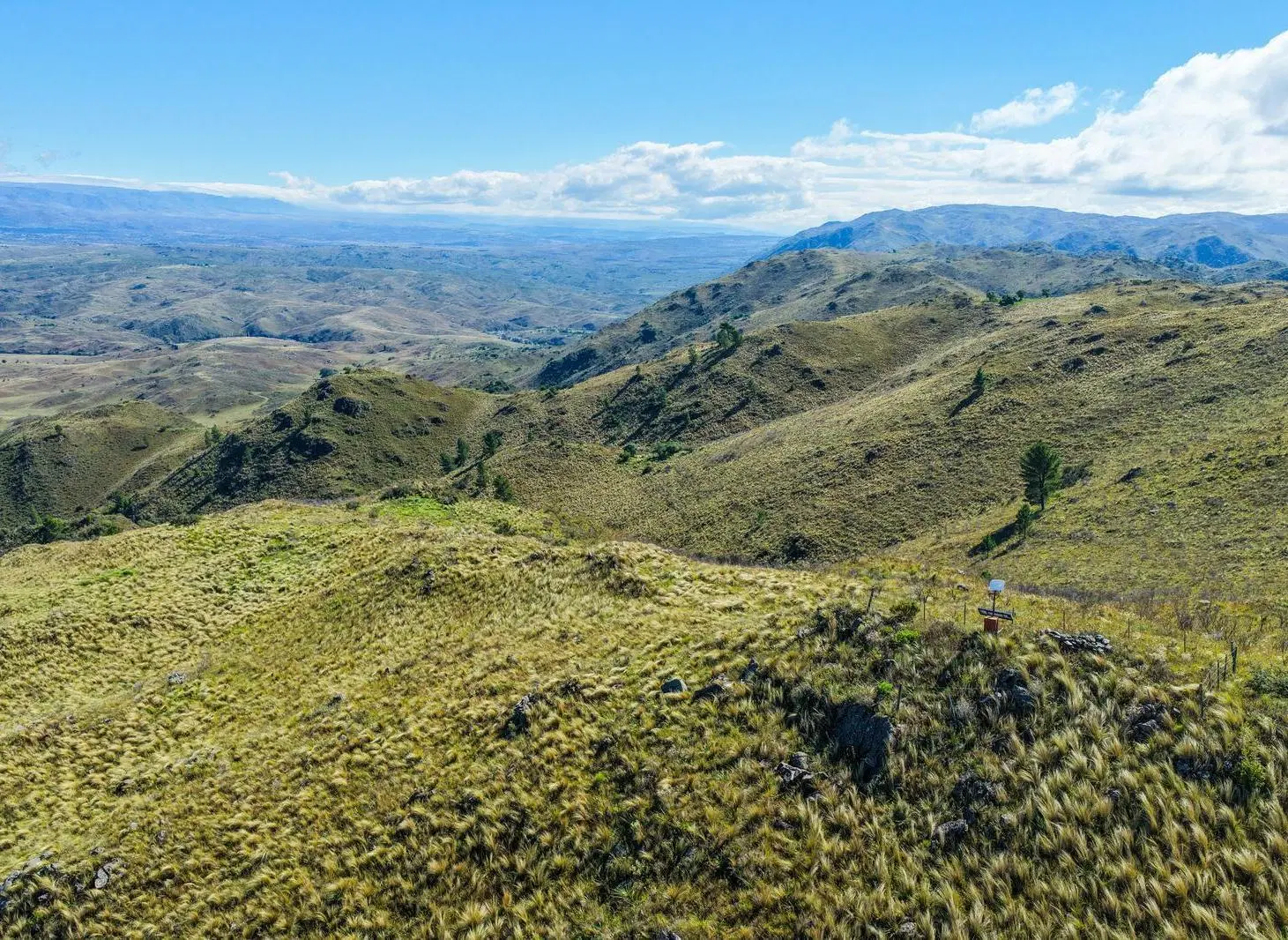 Campo en Potrero De Garay 5