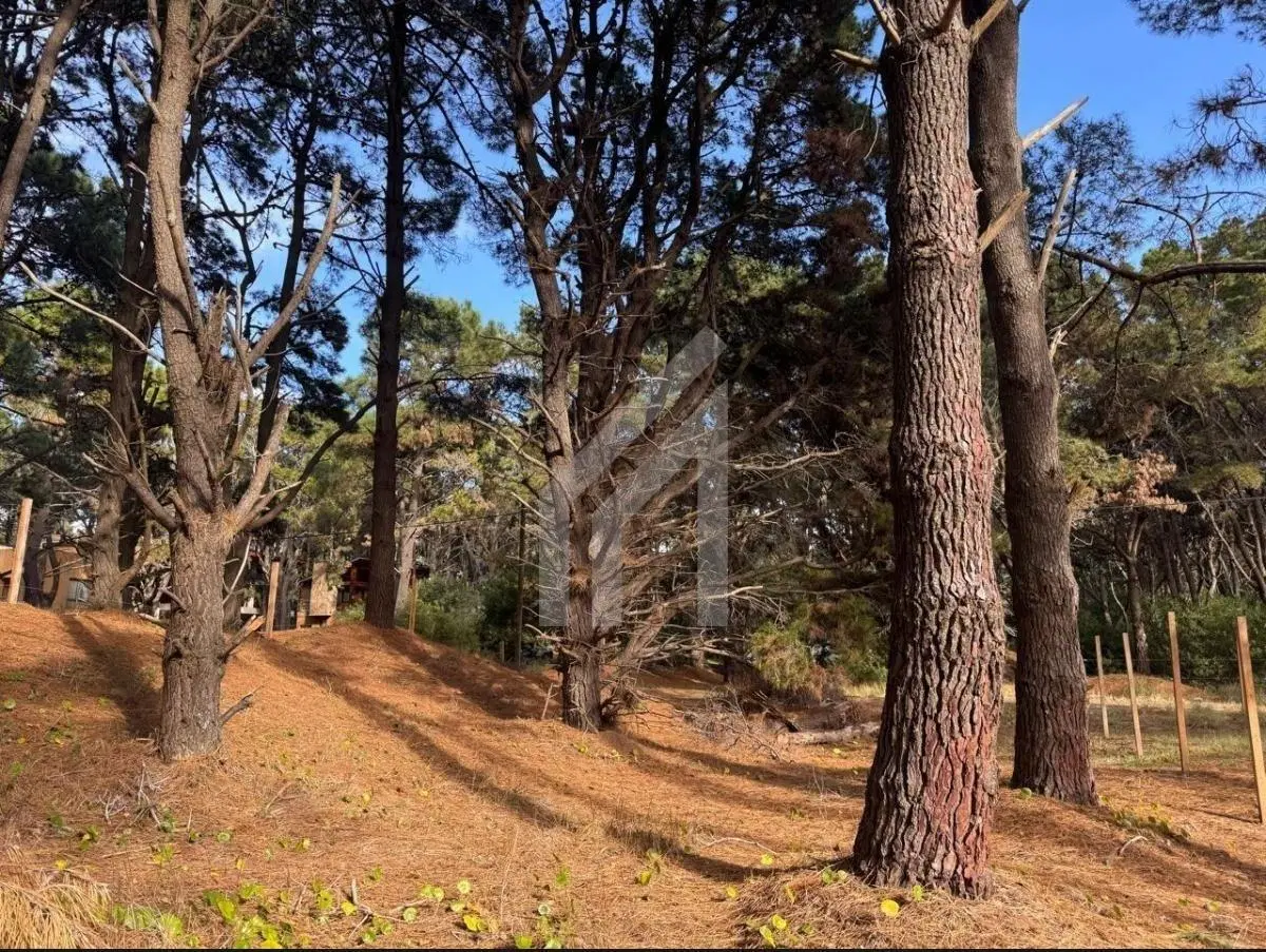 Terreno Lote  en Venta en Costa Del Este, Costa Atlántica, Buenos Aires 2