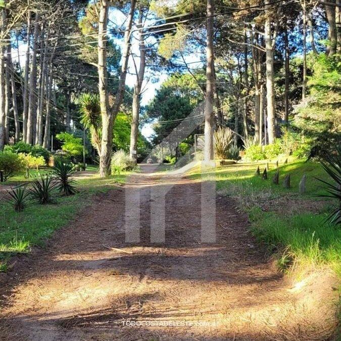 Terreno Lote  en Venta en Costa Del Este, Costa Atlántica, Buenos Aires