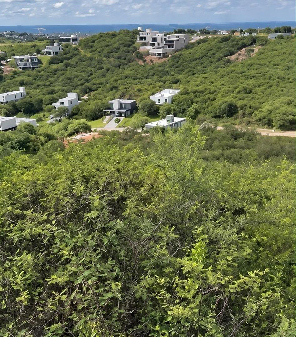 Foto de LOTES EN VENTA EN LA DESEADA, imagen 2
