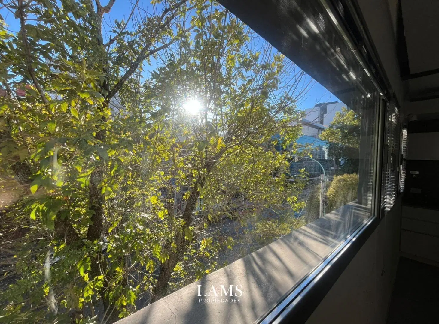 Departamento tipo Loft en venta -  Zona Paseo Aldrey 4