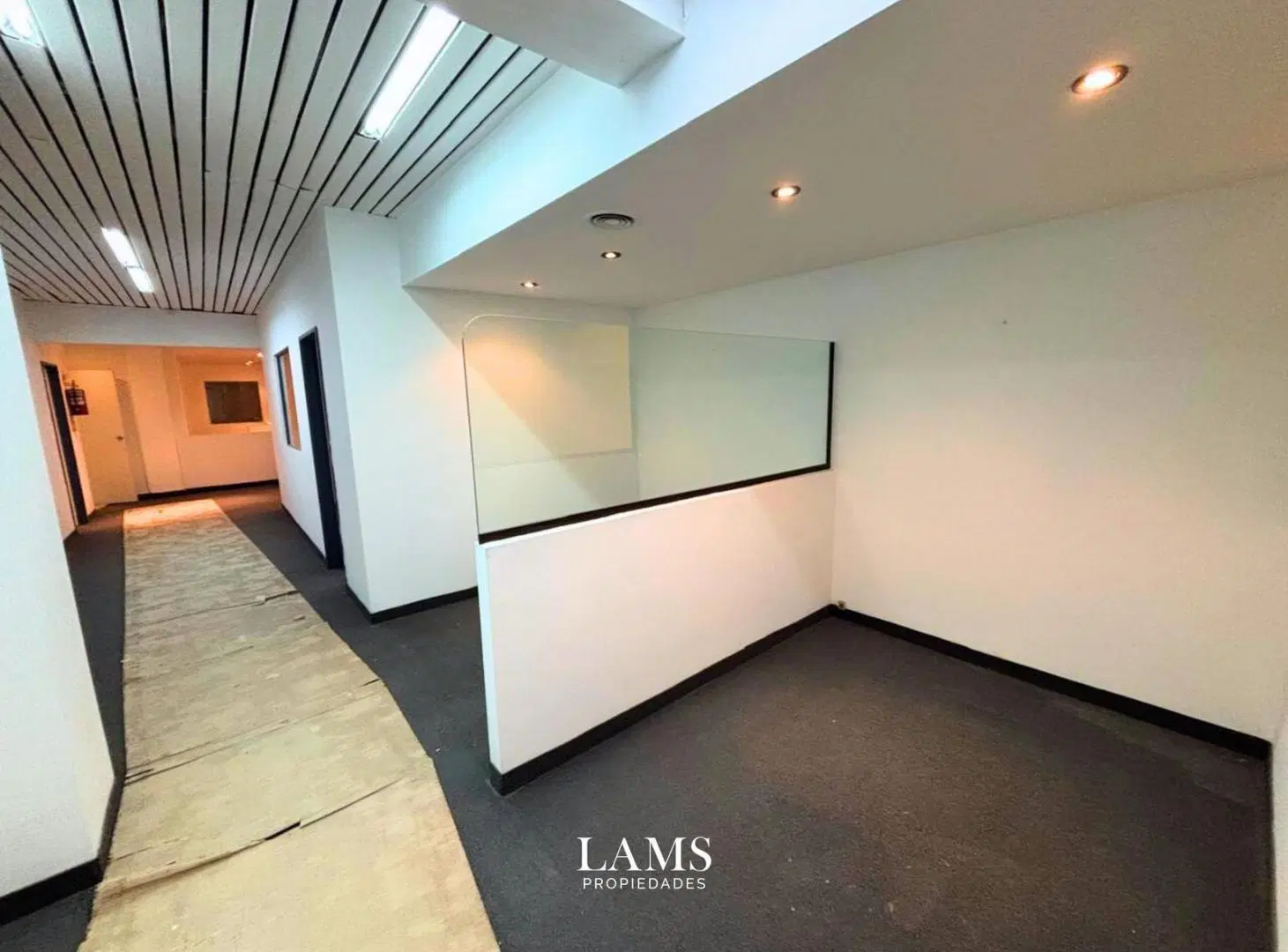 Venta - Local - Zona Plaza Mitre 5
