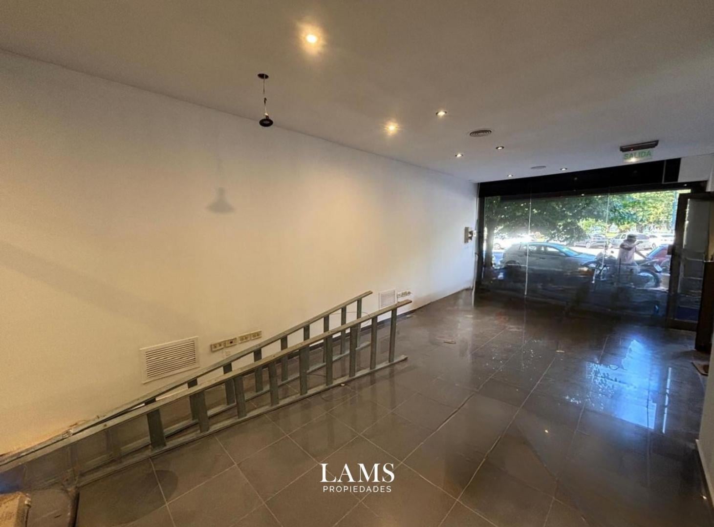 Venta - Local - Zona Plaza Mitre