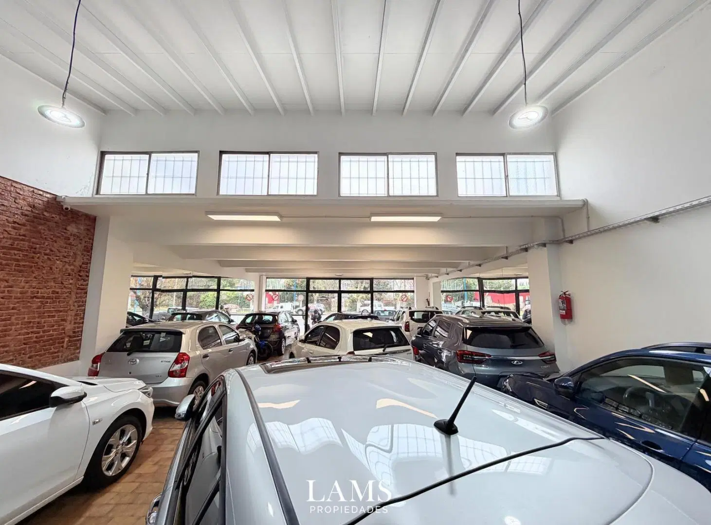 Local sobre Av. Luro - Venta y alquiler 8