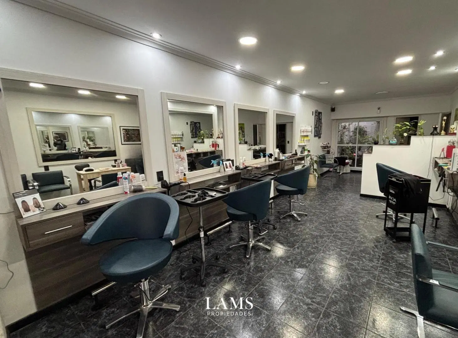 Local en Centro - Venta 4