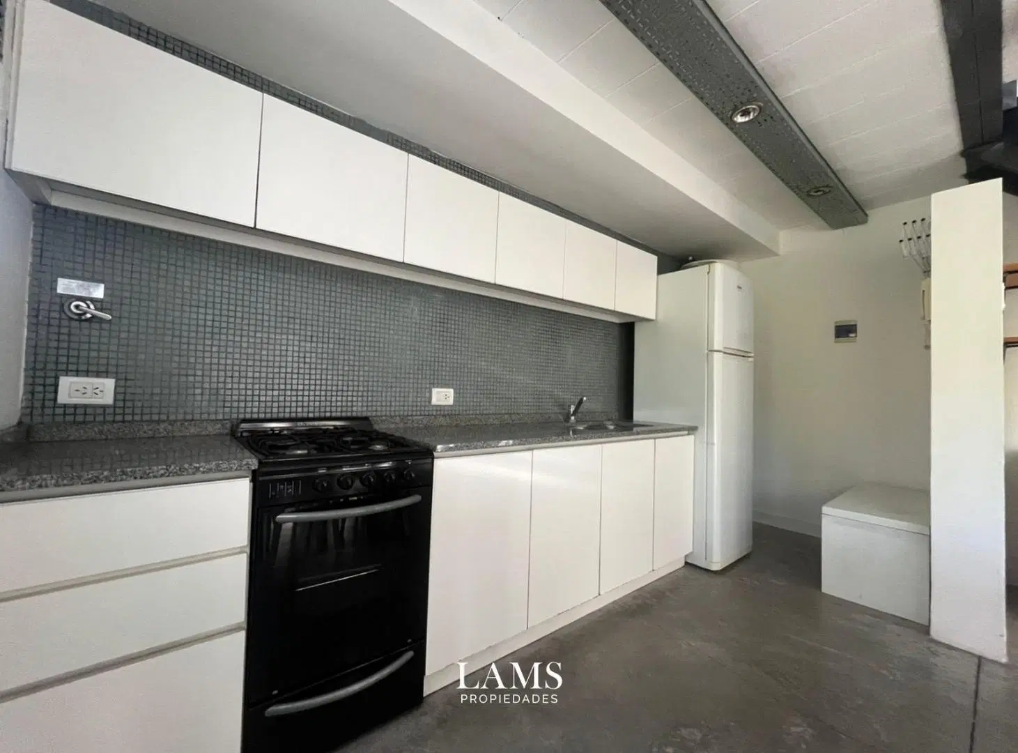 Departamento tipo Loft en ALQUILER - Zona Paseo Aldrey 3