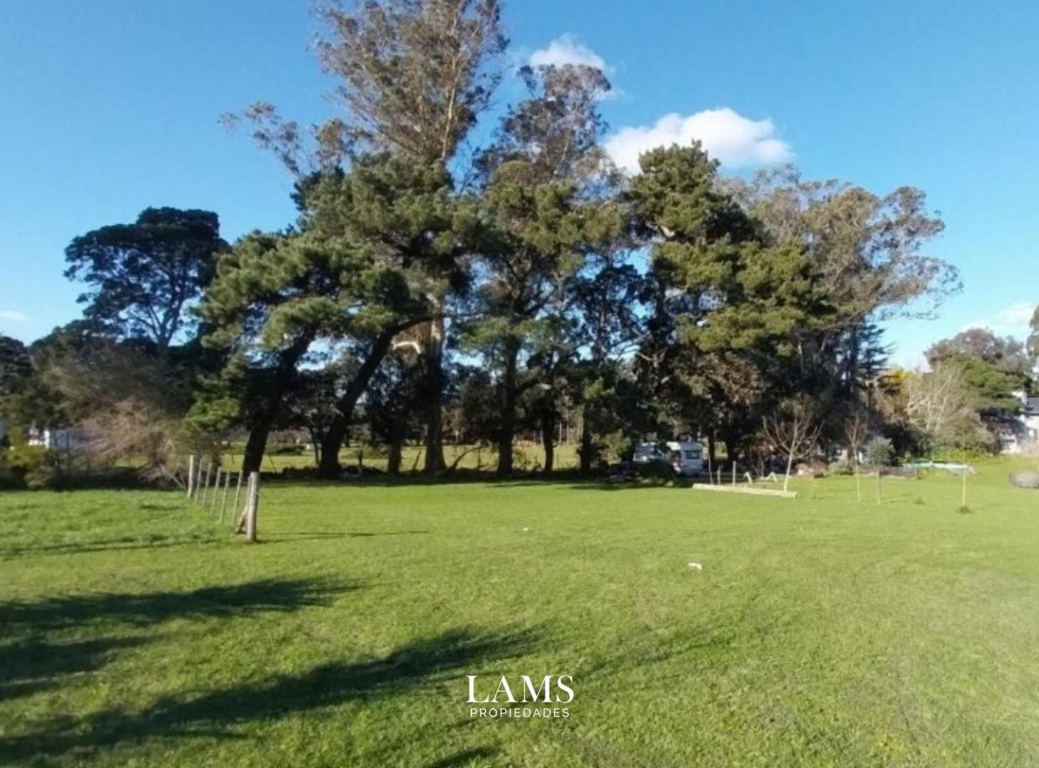 Foto de Terreno en venta - con entorno forestado - Sierra de los Padres, imagen 3