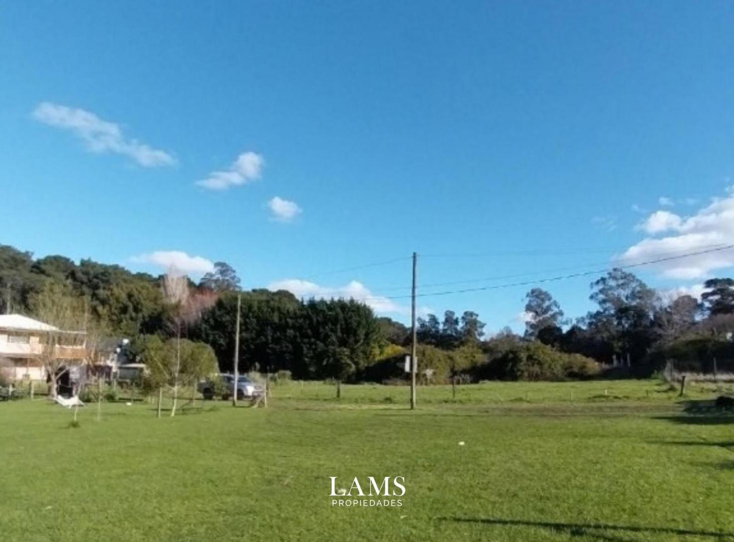 Foto de Terreno en venta - con entorno forestado - Sierra de los Padres, imagen 2