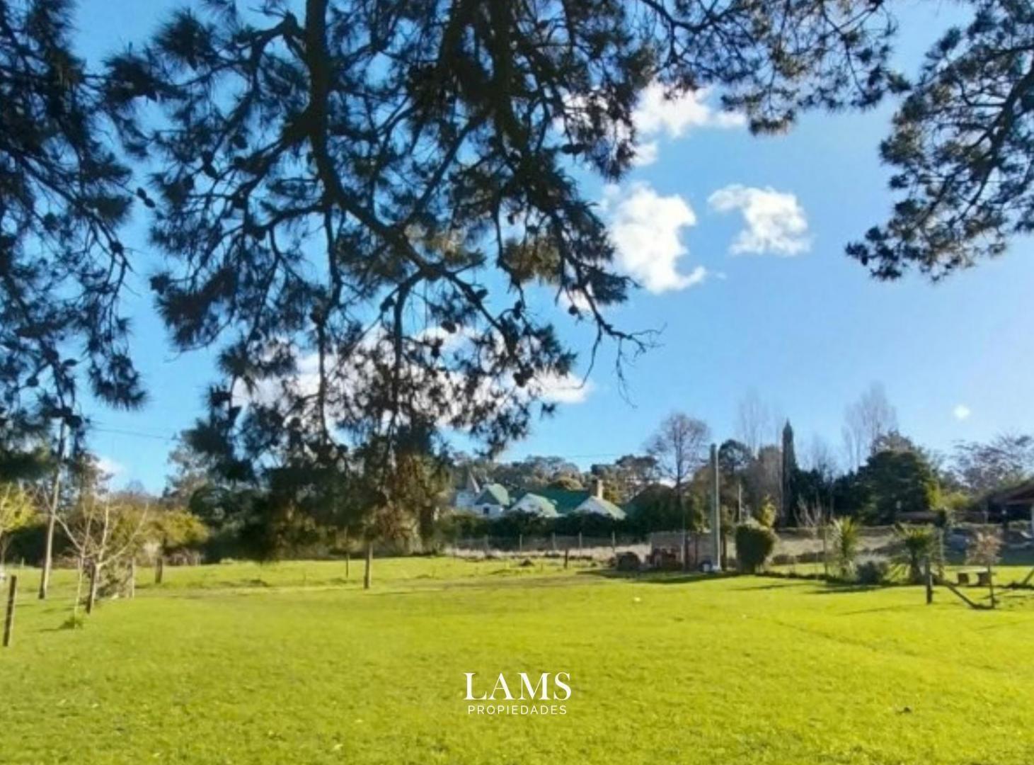 Foto de Terreno en venta - con entorno forestado - Sierra de los Padres, imagen 5