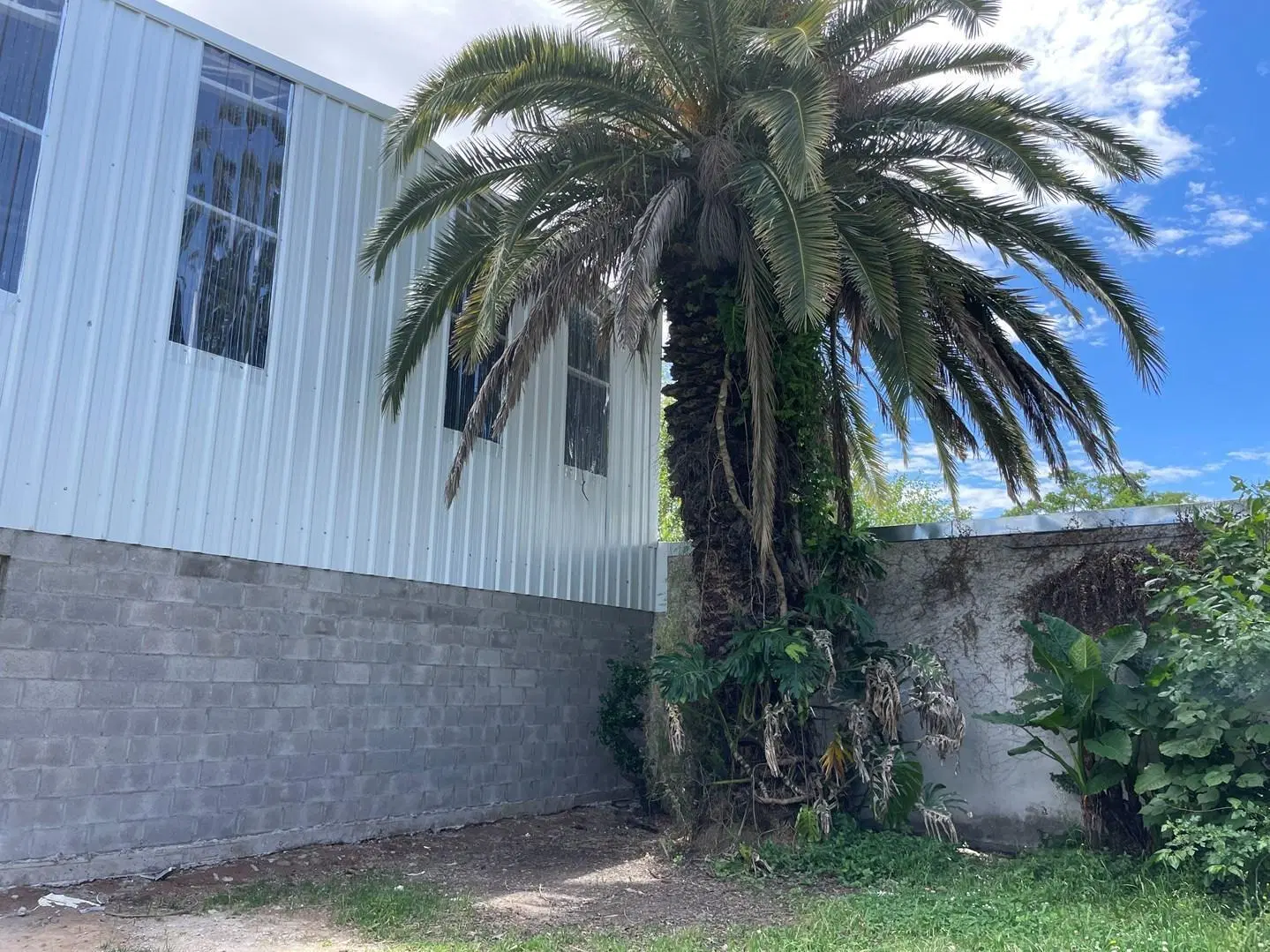 Depósito Galpón  en Venta en Benavidez, Tigre, G.B.A. Zona Norte 8