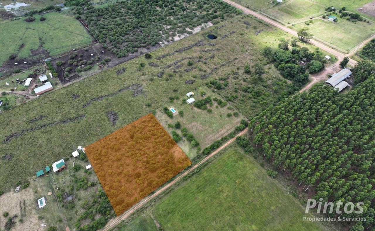 Foto de 9.200 mts de terreno. Colonia SAN JOSE. Ideal para casa de fin de, imagen 2