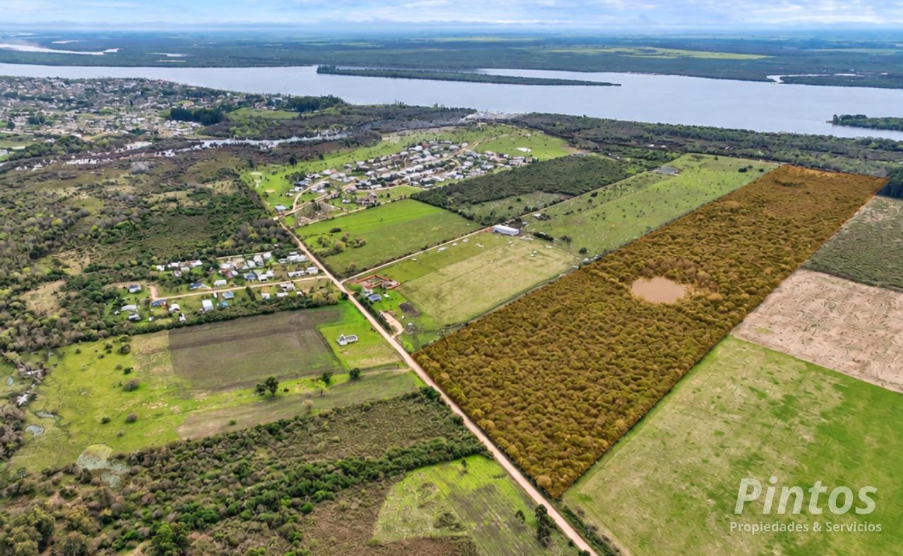 Foto de 40 Hectáreas aptas para proyecto de loteo. EJIDO COLON., imagen 2