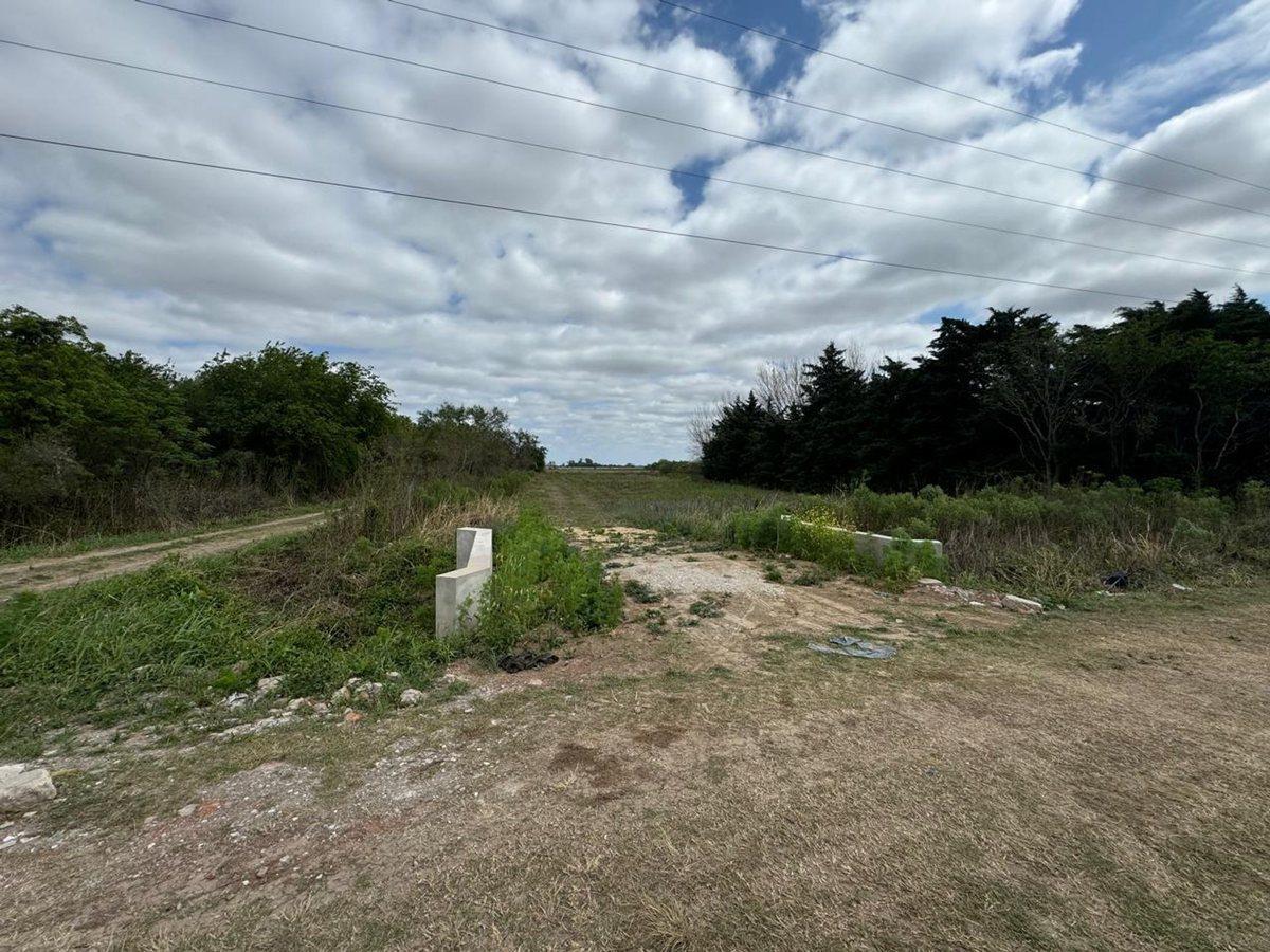 Se Venden 2.759.4 Ha Sobre Ruta 5