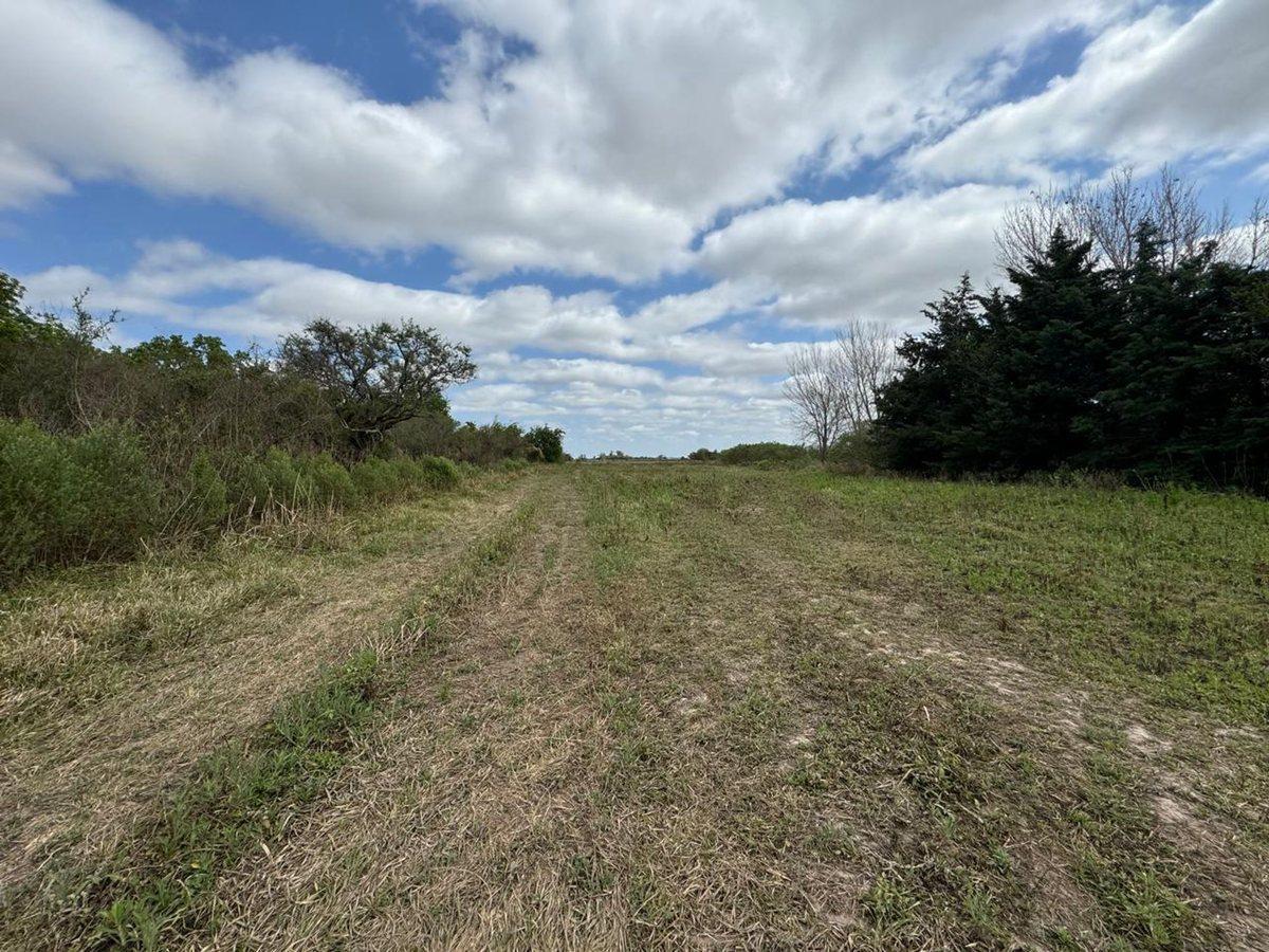 Se Venden 2.759.4 Ha Sobre Ruta 3