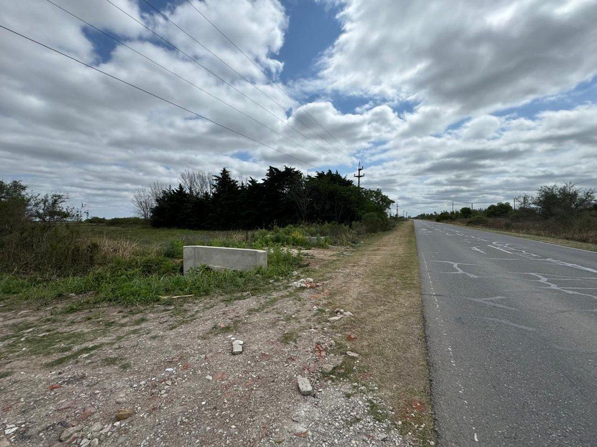 Se Venden 2.759.4 Ha Sobre Ruta 1